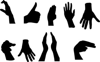 Gestures of hands. The big collection.