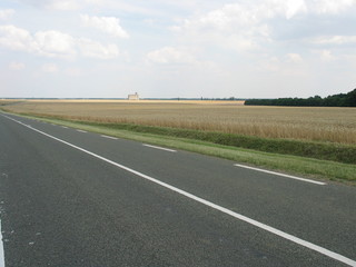 campo di grano lungo una strada