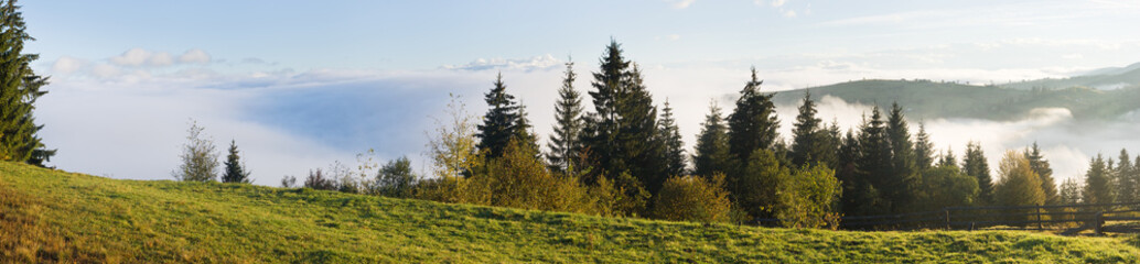 Beautiful misty morning