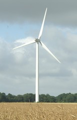 Fototapeta premium éolienne 12