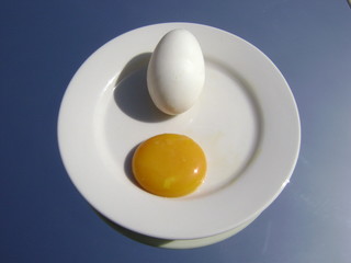 Jaune d'Oeuf