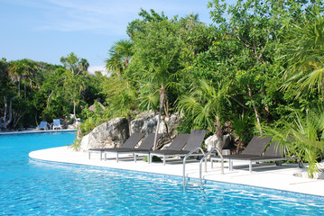 Pool with blue water surrounded by tropical plants