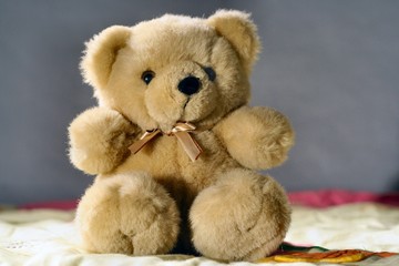 Peluche ourson