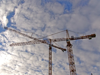 Kräne von Unten