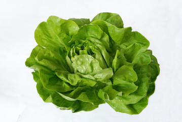 Green lettuce  isolated