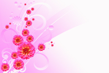 sfondo floreale con zinnie