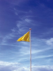 Drapeau jaune, yellow flag