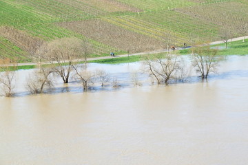 Moselhochwasser