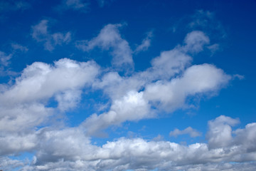 Cielo azul nubes blancas