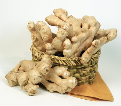 ginger