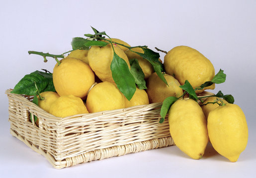 limoni