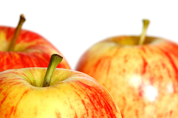 Royal Gala Apples