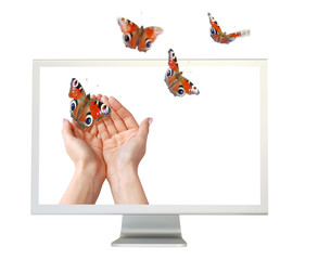 Fototapety na wymiar - Fototapeta24.pl