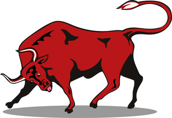 Raging texas longhorn bull