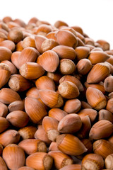 hazelnuts