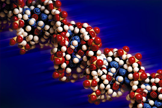 DNA