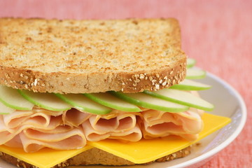 all-american turkey and apple picnic sandwich