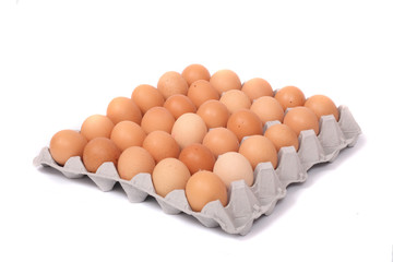 eggs