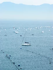 Foto op Canvas sailboat race © ollirg