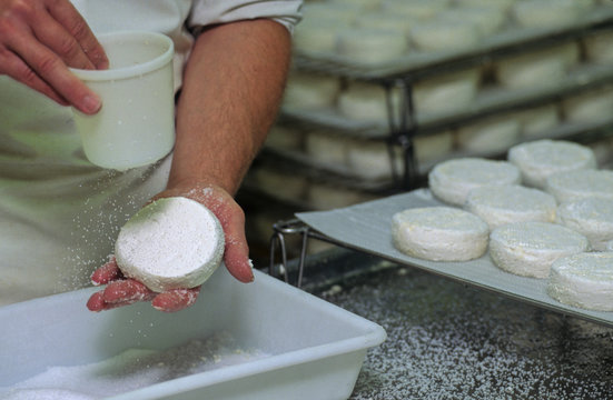 FABRICATION DU FROMAGE DE CH&Egrave;VRE