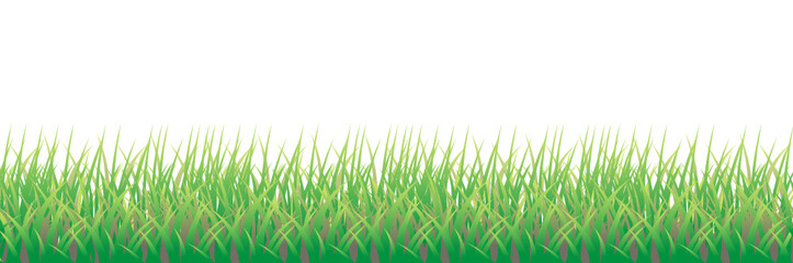 la hierba © Sergio Hayashi