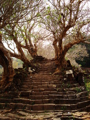 melancolie khmer, escalier du temple de champasak, wat phu