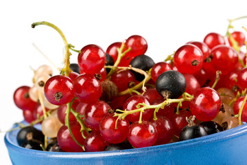 currant