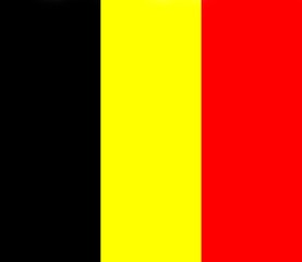 flag of belgium with official proportion