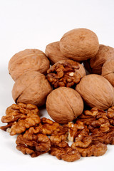 walnut