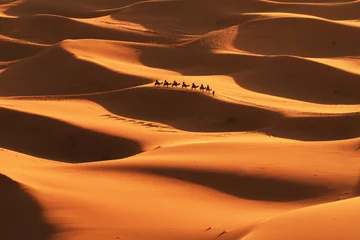 Crédence de cuisine en verre imprimé Sécheresse Désert du Sahara