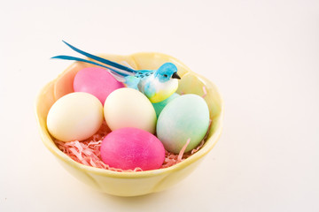 Easter eggs and blue bird