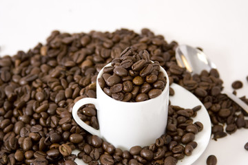 Graines de café