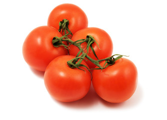 fresh tomatoes