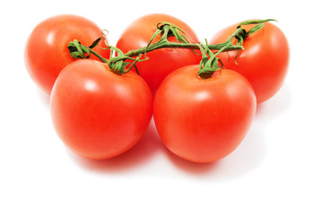 fresh tomatoes