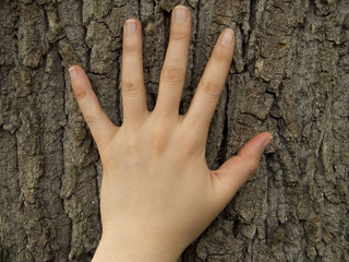 Main sur un tronc d'arbre