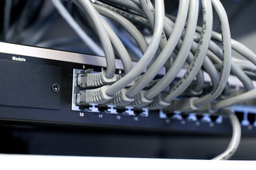 network cables