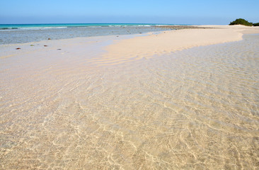 Fototapeta na wymiar Beach on Socotra island 