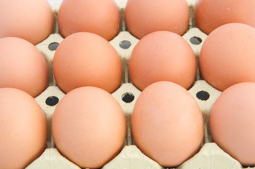 Chicken eggs
