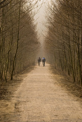 Obraz premium ciclisti 2