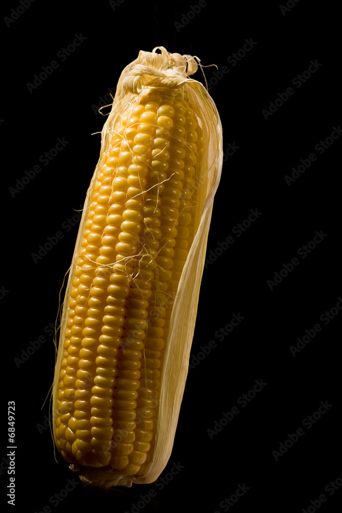 Canvas Prints corn