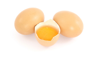 eggs