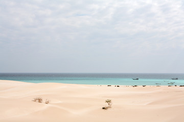 Beach on Socotra island