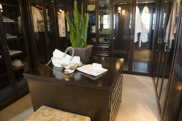 Luxury home dressing room.