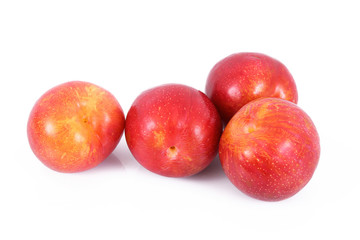 prugna