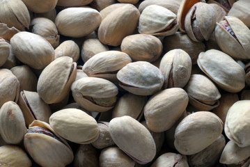 pistacchi