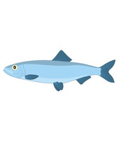 herring(www.fertig-unterricht.de)