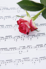 roses et notes de musique