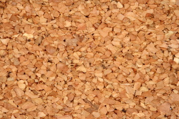 cork board texture