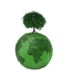 planete verte - ecologie