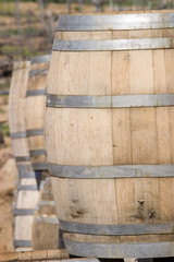 Naklejka premium wine barrels at the vineyards